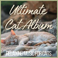 Eyes Half Closed - RelaxMyCat & Cat Music Dreams & Cat Music Zone