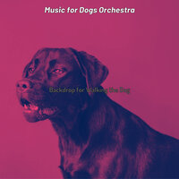 Easy Listening Acoustic Guitar Soundtrack for Calming Dogs - Music for Dogs Orchestra