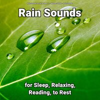 Spectacular Recreation - Nature Sounds & Rain Sounds & Rain Sounds to Fall Asleep To