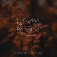 Warm Hearts - Easy Sleep Music & Buddhist Meditation Music Set & Exam Study Classical Music Orchestra