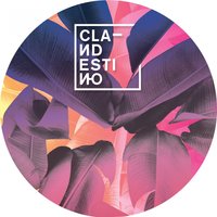 Wonder - Private Agenda & Clandestino
