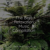 Hammock In the Trees - Entspannungsmusik Oase & Schlaflieder Für Kinder & Sleeping Music