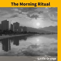 Daybreak Serenity in Harmony - Little Orange