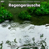 Regengeräusche, pt. 83 - Regengeräusche zum Einschlafen Patrick Mazio & Regengeräusche & Naturgeräusche