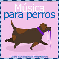 Fiesta De Pijamas - Relax My Dog & Dog Music Dreams & RelaxMyDog