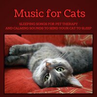 Relax Music - Pet Music World