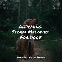 Mindful Waters - Sleep Music For Dogs & Calming Music for Dogs & Pet Care Music Therapy