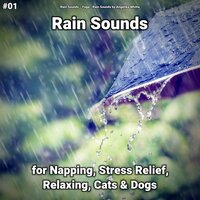 Sleep Help - Rain Sounds & Yoga & Rain Sounds by Angelika Whitta