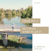 Mi Trenzuda - El Mono de Sinaloa