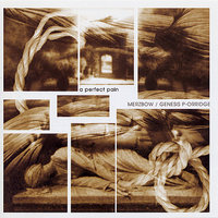 Flowering Pain Give Space - Merzbow