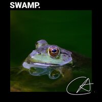 Dock Frogs sound in Chilling Christmas to help you relax and study - Spa Relaxation & Spa Music Relaxation & Spa Music & Meditation Collective