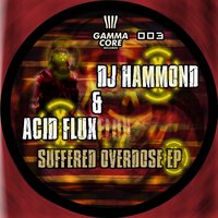 The Woman in the Red Dress - DJ Hammond