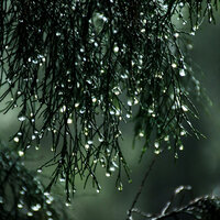 Window Rain and Storm - Los Baby One