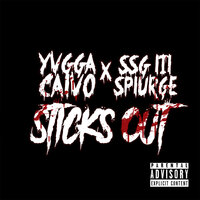 Sticks Out - SSG Splurge & Yvgga Calvo