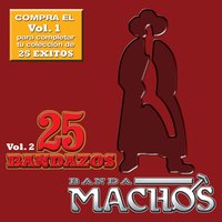 Vivir sin ella - Banda Machos