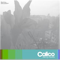 Miss You - Calico