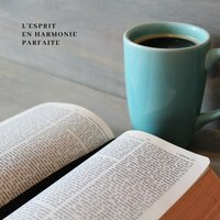 Archipel de Théories - Musique D'étude Facile & Musique D'étude