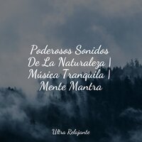 Relajaciones Con Viento Madera - Musicas Crianças & Fabricantes De Lluvia & Canciones de Cuna 101