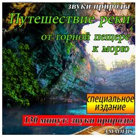 Kостёр и бурная ночь: звуки природы - Amadeus