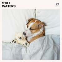 Quietude Calm - Sleep Music Academy & Sleep Music System & Sleep Music Zone & Relax Sleep Music