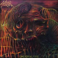 Return to the Grave - SkeLetal