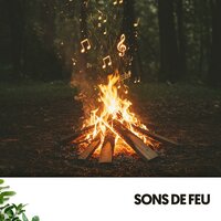 Friedliche Produktivitätsoase - Cat Music & Sonidos de fuego & Sommeil