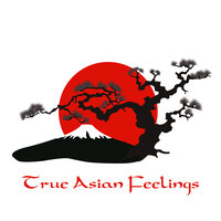Chinese Holiday - Asian Traditional Music & Spiritual Enlightenment Unit