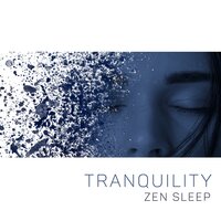 Shutdown Mode - Deep Sleep Sanctuary