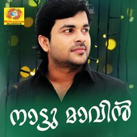 Kanne Kanmaniye - Shafi Kollam