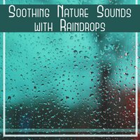 Rain of Gratitude - Nature Sounds Paradise