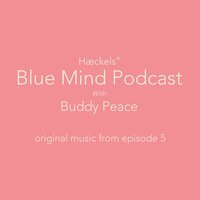 St Vincent Theme, Pt. 2 - Buddy Peace
