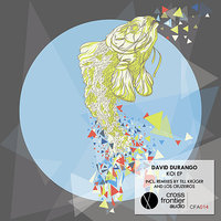 Koi - David Durango