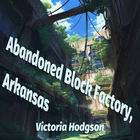 Abandoned Block Factory, Arkansas - Victoria Hodgson