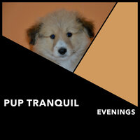 Sweet Dog Times - Dogs Music Therapy & Dog's Music & Zen Dog