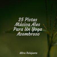 Serendipia - Canciones de Cuna 101 & Musica Para Niños & Yoga Para Ninos