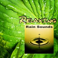 Sleep to Soft Rain - Natural Sounds Music Academy