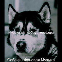 Настроения (Собаки) - Музыка для собак атмосфера