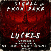 Curiosity - Luckes
