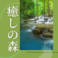 落ち着く自然ＢＧＭ（鳥のさえずり） - 森のハーモニー