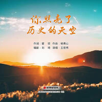 你照亮了历史的天空 - 王宏伟