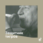 Плейлист защитника тигров