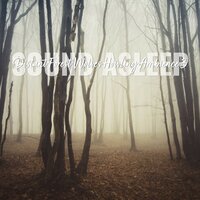 Distant Forest Wolves Howling Ambience, Pt. 8 - Elijah Wagner