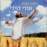 Fixable - Udi Davidi