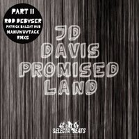 Promised Land 2010 - JD Davis