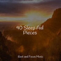 Everlasting Unity - Echoes of Nature & Classical New Age Piano Music & Baby Sweet Dream