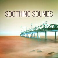 Voyage - Soothing Music Collection