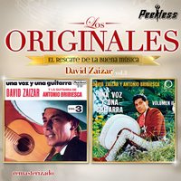Por un amor - David Zaizar
