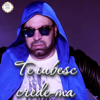 Te iubesc crede-ma - Vali Vijelie & Florin Salam & Stefan de la Barbulesti
