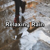 Heavy Rain Droplets To Relax and Loop for 8 Hours - Sleep Sound Library & Sleep Sounds & Thunderstorm Sleep