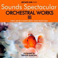 Stick Your Rock - Trevor Duncan & The New Concert Orchestra